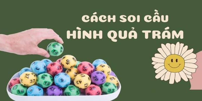 Cách soi cầu quả trám sẽ giúp tìm ra con số chính xác